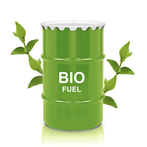 Global Biofuels Market