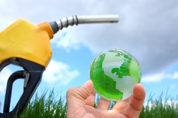 global biodiesel market